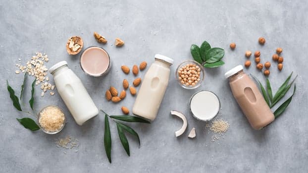 Dairy Alternatives (Oat Milk, Almond Milk, Soy Milk, Coconut Milk)