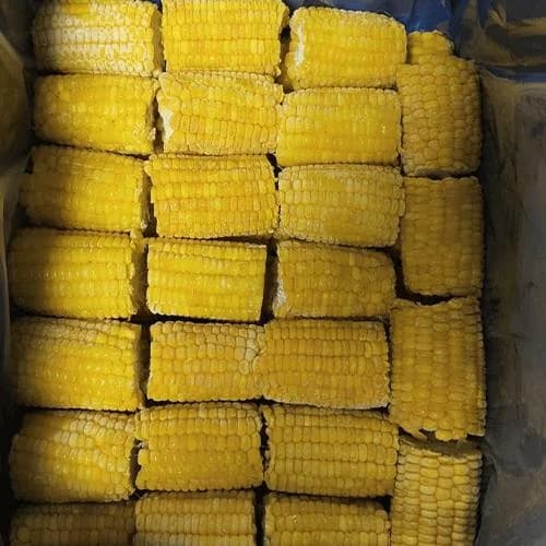 Frozen Sweet Corn Cob Segments for Foodservice and Export Markets