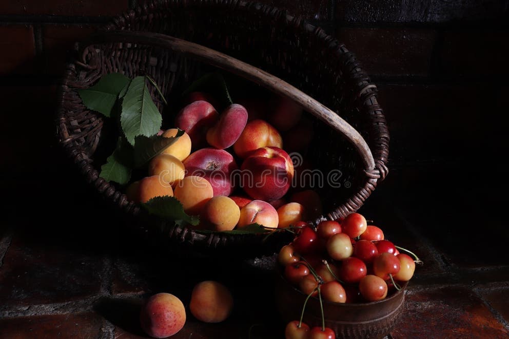 Stone Fruits (Peaches & Nectarines, Plums, Cherries, Apricots, Dates)
