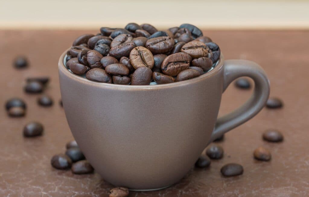 Liberica (Rare, Unique Flavor Profile)