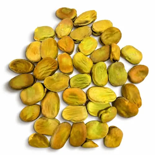 Premium Export-Grade Dried Broad Beans (Fava Beans)