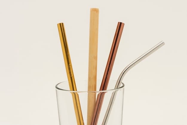 Reusable Straws (Metal, Glass, Bamboo, Silicone)