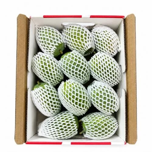 Fresh Green Mangoes — Export-Grade Fruit for Global Fresh Produce Buyers