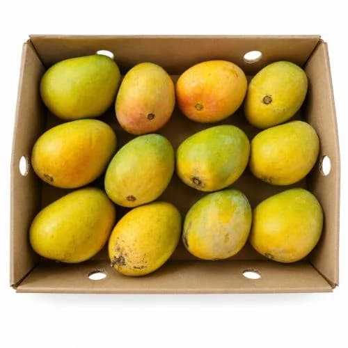 Fresh Export-Quality Mangoes with Protective Packaging Solutions
