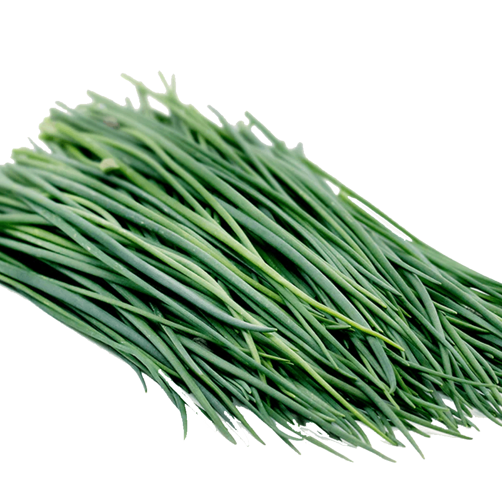 Chives