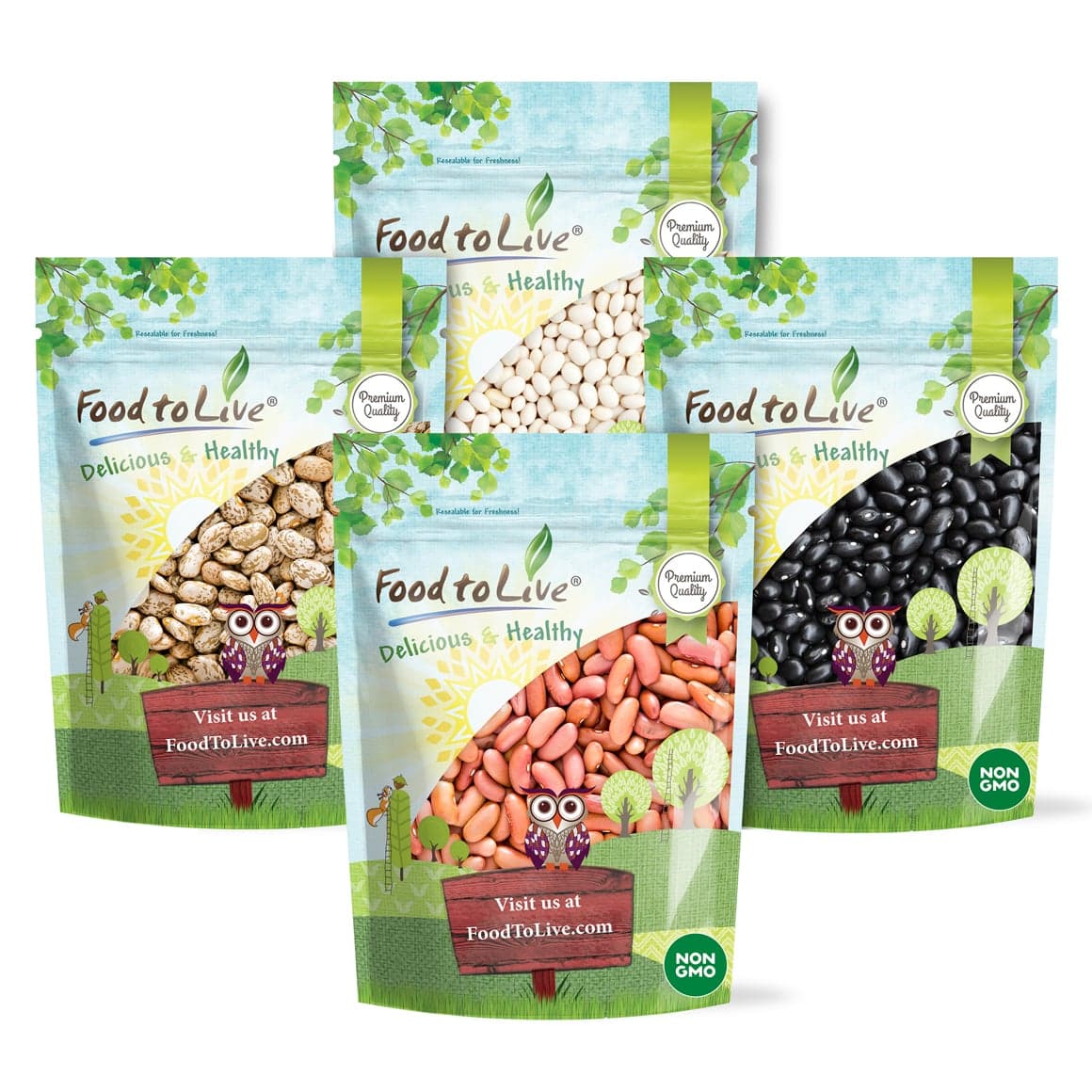 Beans (Kidney, Black, Pinto, Navy)