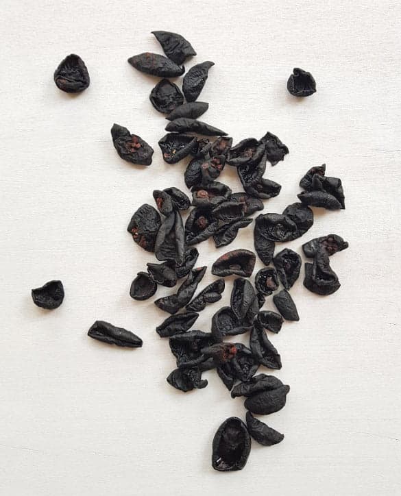 Kokum