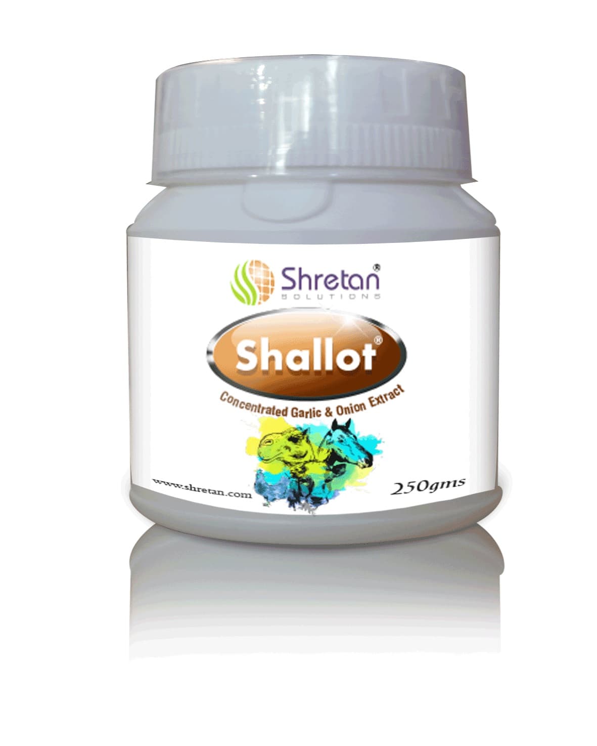 Shallot